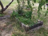 image of grave number 417078